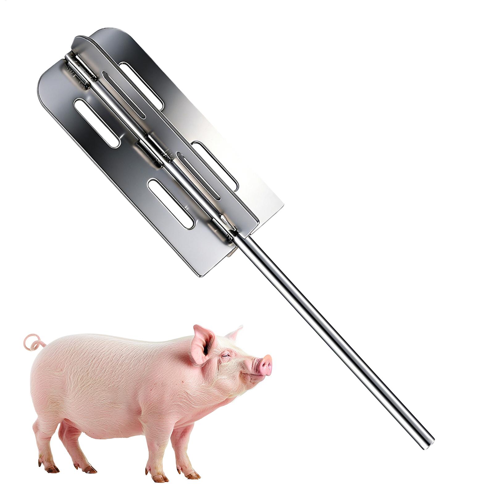 Power Tools On Sale - أداة إزالة شعر الخنازير من الفولاذ