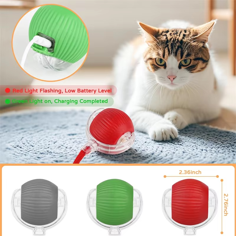 لعبة كرة تفاعلية جديدة للقطط،  - مراجعة Power Tools Cat وسعره