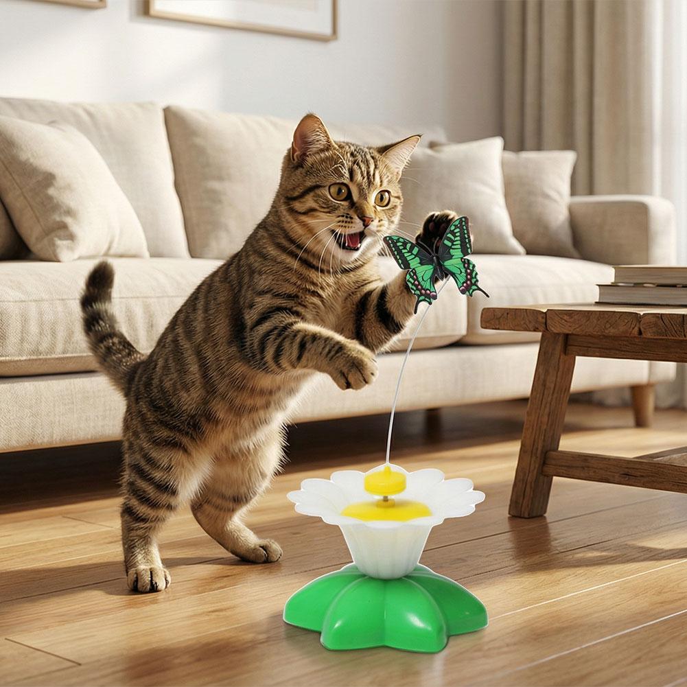 لعبة قطط كهربائية تفاعلية دوار - مراجعة Power Tools Cat وسعره