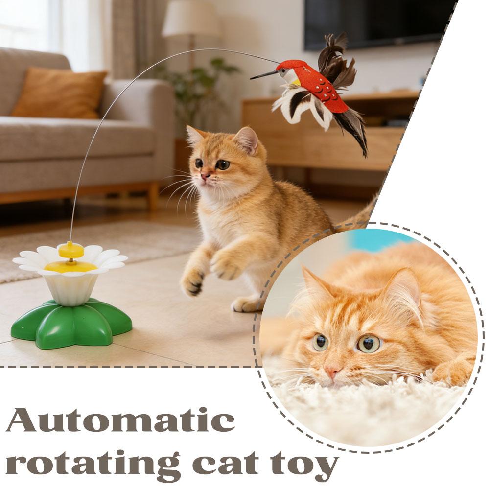 لعبة قطط كهربائية تفاعلية دوار - مراجعة Power Tools Cat وسعره