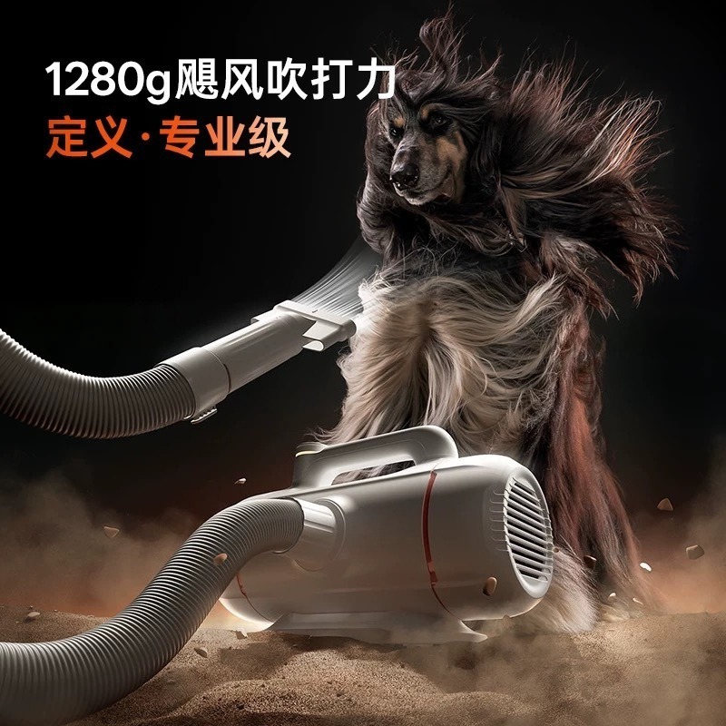 جهاز تجفيف الحيوانات الأليفة ب - مراجعة Power Tools Cat وسعره