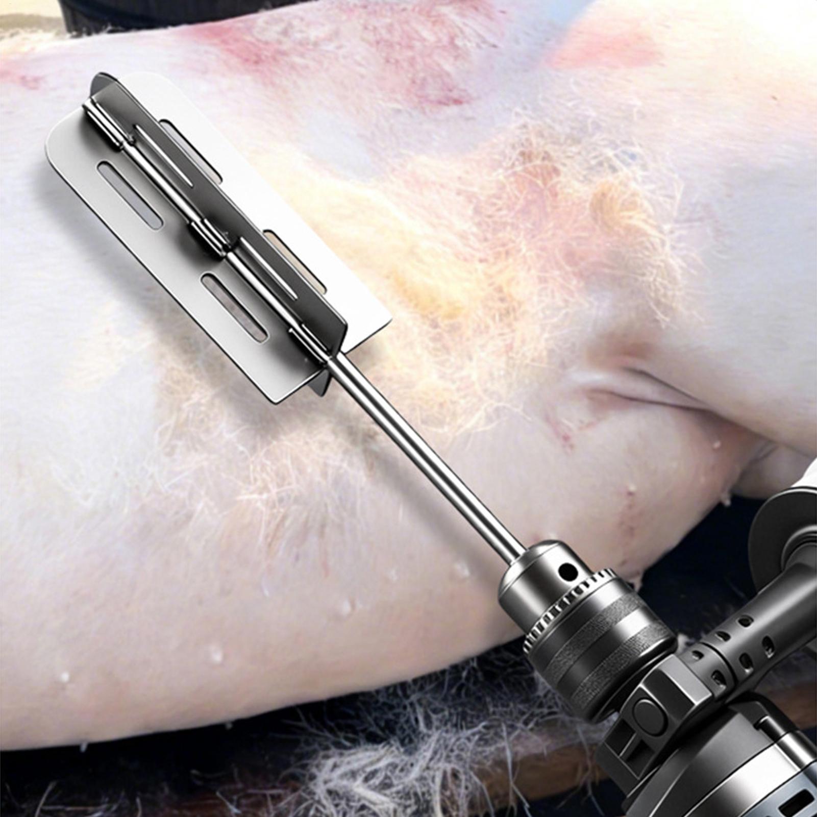 أداة إزالة شعر الخنازير من الف - مراجعة Power Tools On Sale وسعره