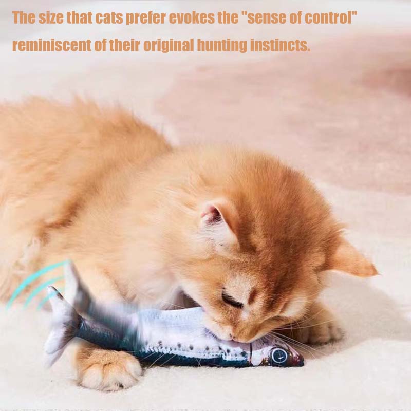 ألعاب القطط التفاعلية لألعاب ا - مراجعة Power Tools Cat وسعره